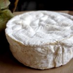 fromagio camembert n° 913 guida di Pierrette