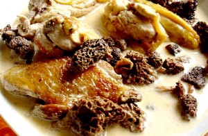 poulet-de-bresse-aux-morilles-683-du-guide-de-pierrette